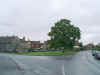 The tree in the village green.JPG (48909 bytes)